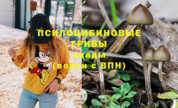 метадон Абинск