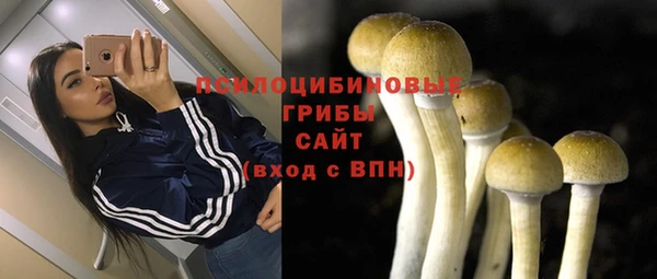 гашик Абаза