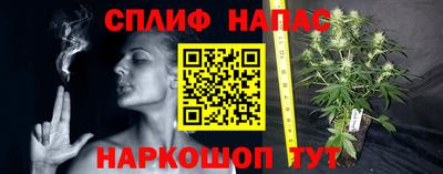 дживик Шебекино