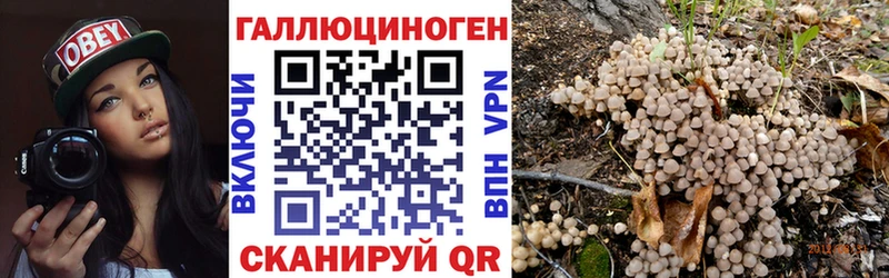 где купить наркоту Одинцово darknet Telegram Галлюциногенные грибы ЛСД