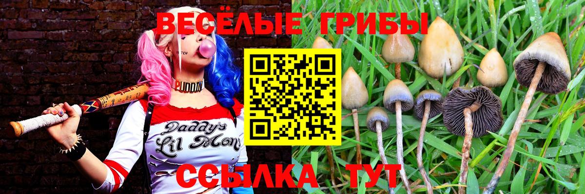 Галлюциногенные грибы мицелий Одинцово