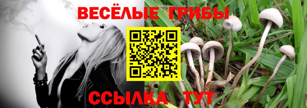 Псилоцибиновые грибы мухоморы  Псилоцибиновые грибы мухоморы  Вход с VPN  Одинцово 